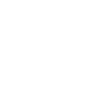 WINDOWS Logo
