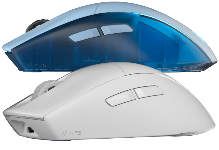 A pair of M75 mice