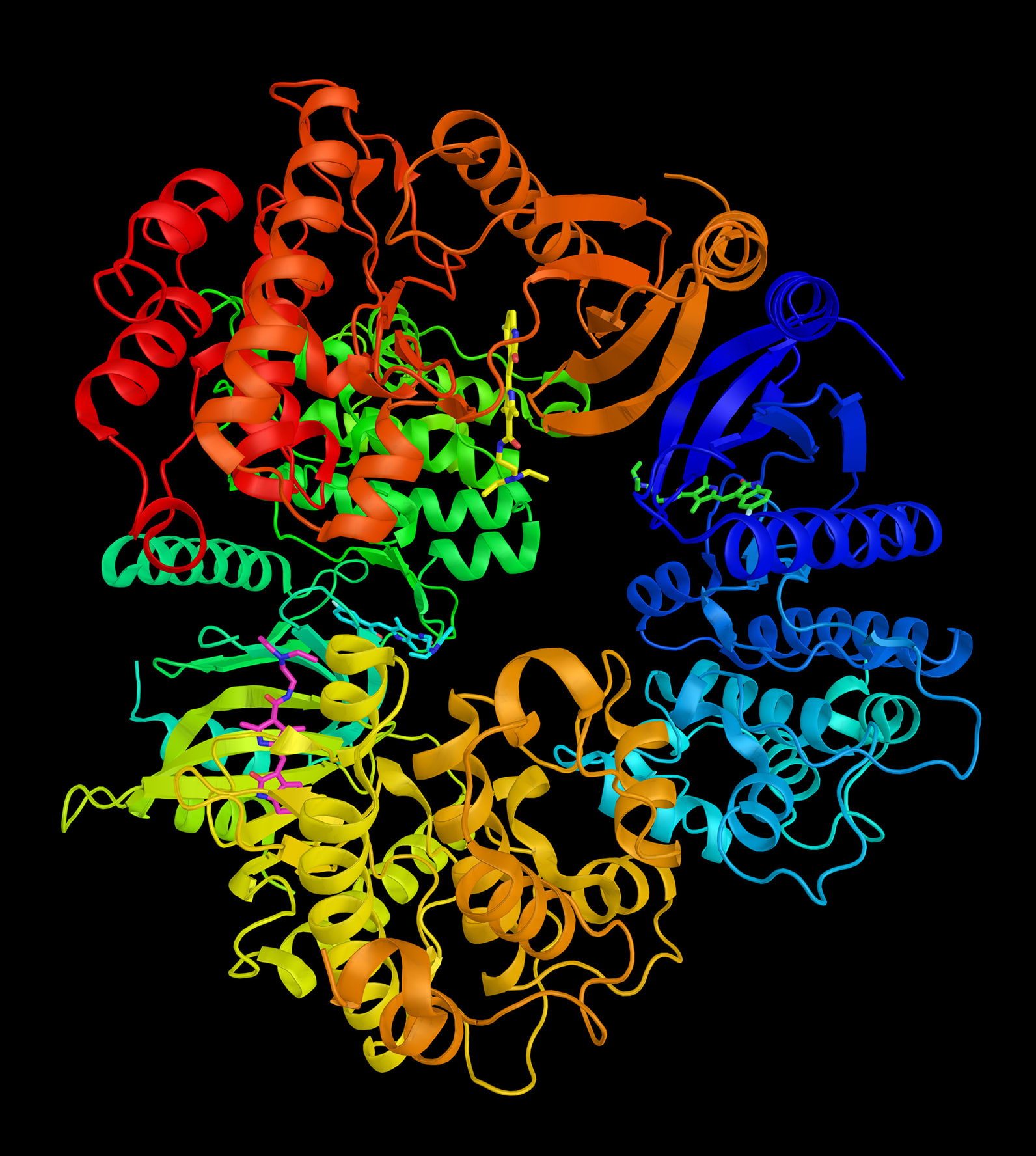 3D rendered image of helixes