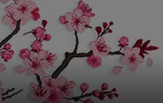 Cherry Blossom Thumbnail