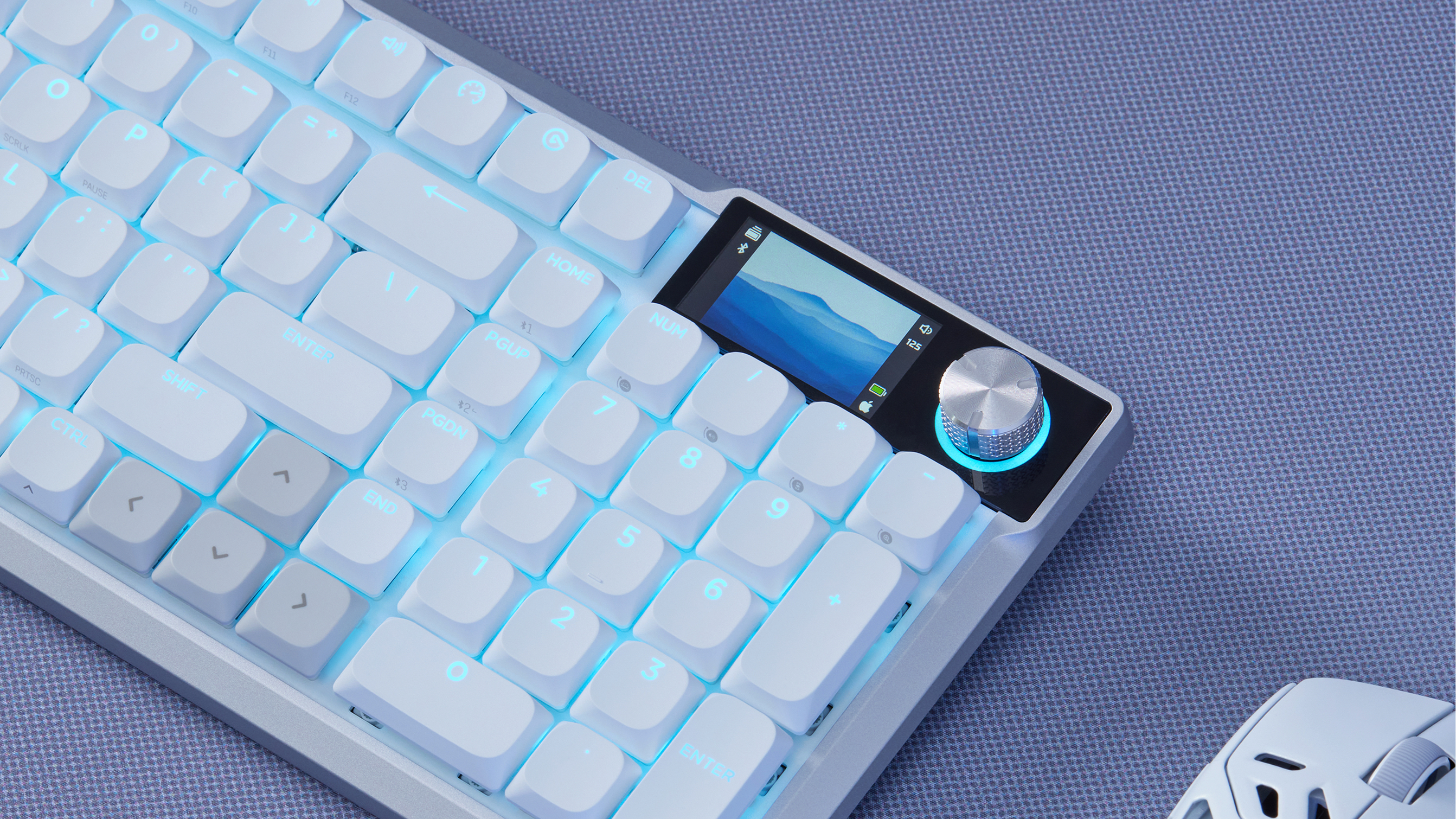 VANGUARD AIR 99 keyboard close-up showing the colorful LCD screen and illuminated rotary knob with blue LED glow.