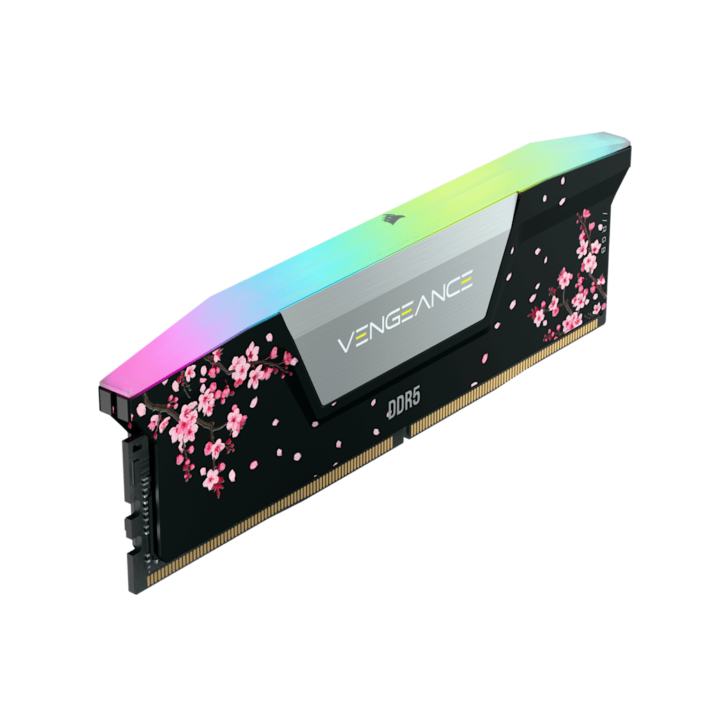 Vengeance RGB 32GB (2x16GB) DDR5 DRAM Up To 6000MT/s CL36 Intel XMP Memory Kit - Cherry Blossom Black
