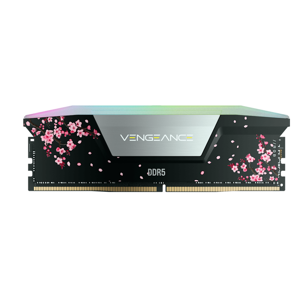 Vengeance RGB 32GB (2 x 16GB) DDR5 DRAM Up To 6000MT/s CL38 Intel XMP Memory Kit Cherry Blossom Black