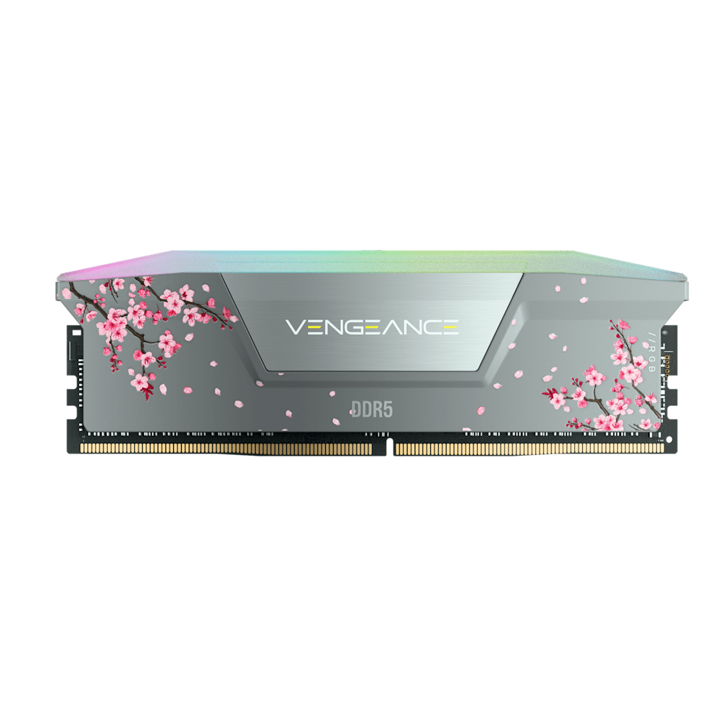 Vengeance RGB 32GB (2 x 16GB) DDR5 DRAM Up To 6000MT/s CL38 AMD EXPO & Intel XMP Memory Kit Cherry Blossom Gray