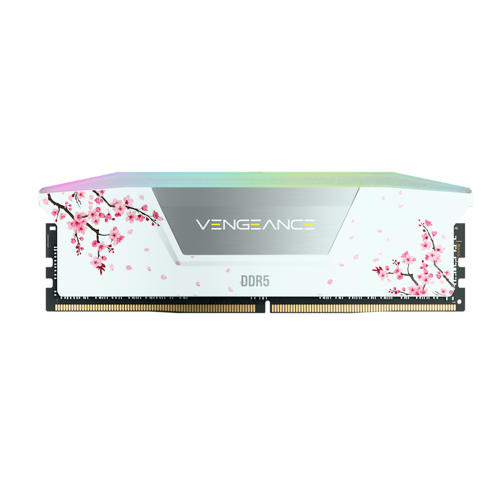 Vengeance RGB 32GB (2 x 16GB) DDR5 DRAM Up To 6000MT/s CL38 AMD EXPO & Intel XMP Memory Kit Cherry Blossom White