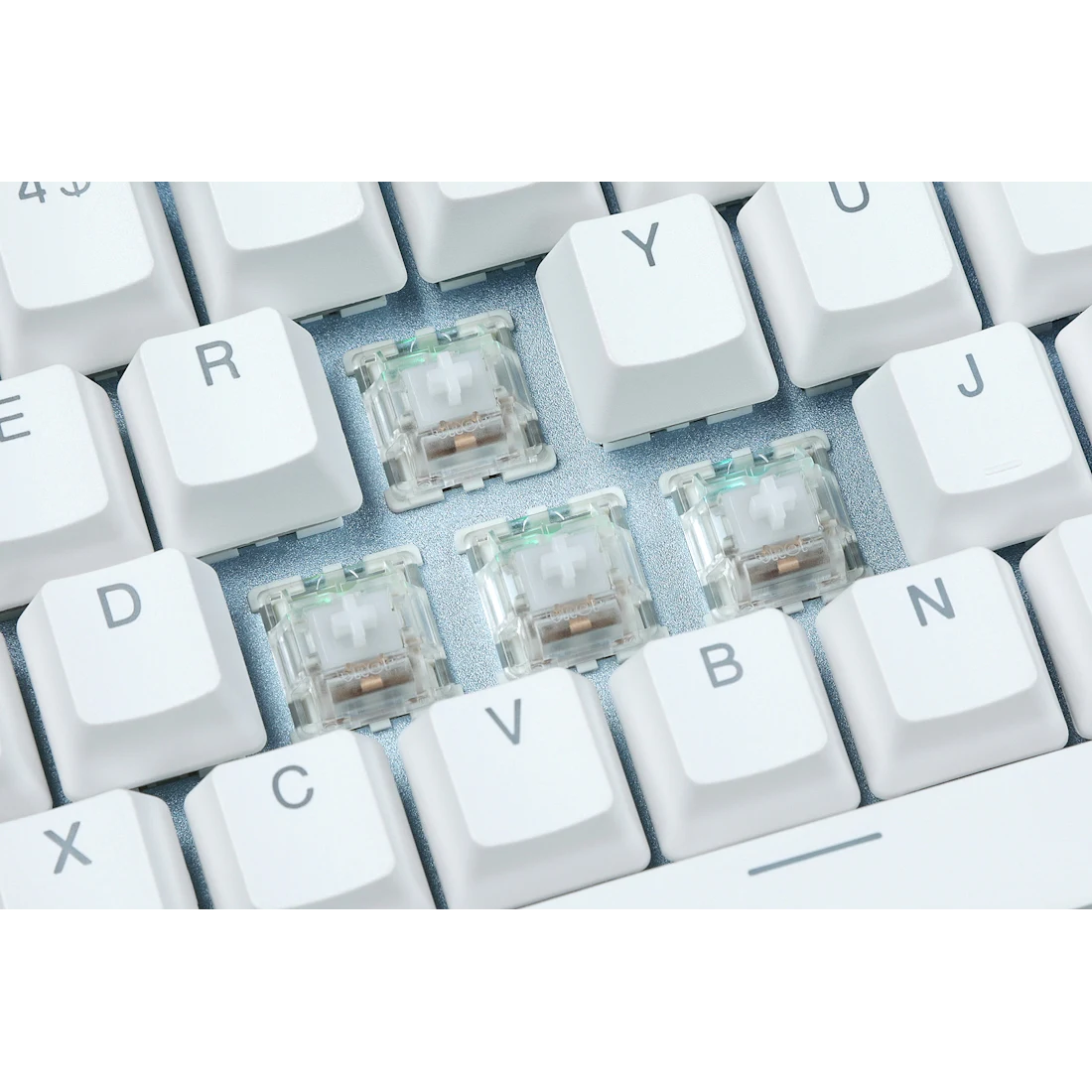 Official Drop Holy Panda X Clear tactile switch with transparent housing and white stem