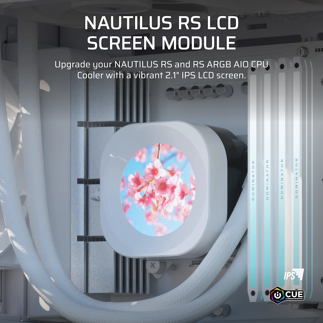 NAUTILUS RS LCD Screen Module - Thumbnail 2