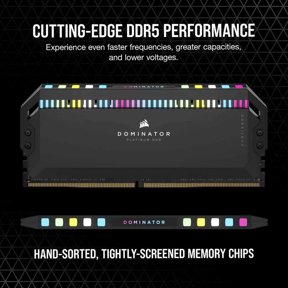 Corsair Dominator RGB view