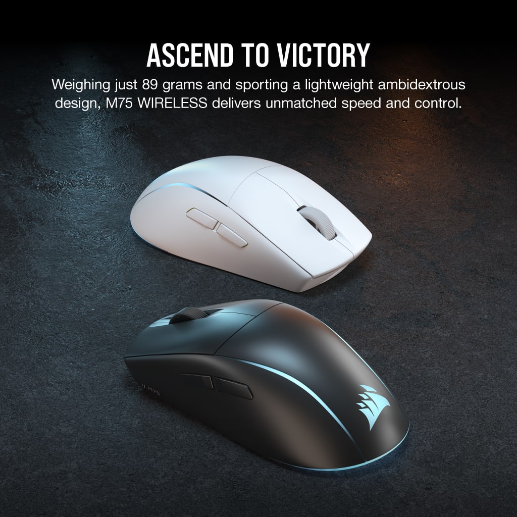 Corsair mouse light outlet
