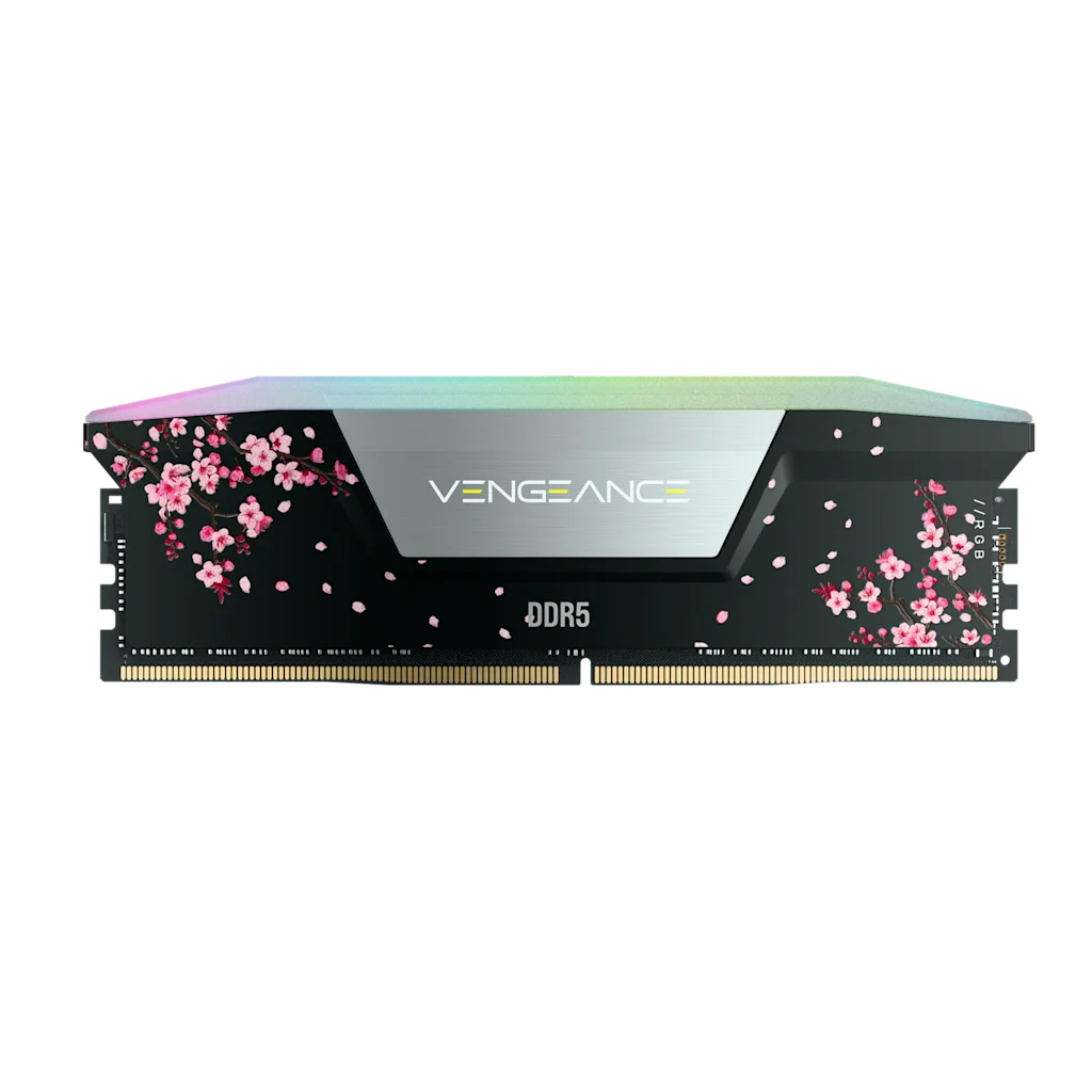 Corsair VENGEANCE® RGB 32GB (2 x 16GB) DDR5 DRAM Up To 6000MT/s CL38 Intel XMP Memory Kit Cherry Blossom Black CMH32GX5M2D6000C38BCB