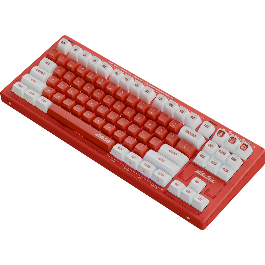 Fallout Keycaps Keyboard Keycap V2, Keycap, ESC Resin Keycap, Resin  Handmade Keycap, Anime Character Custom Keycap Game Decoration,gift