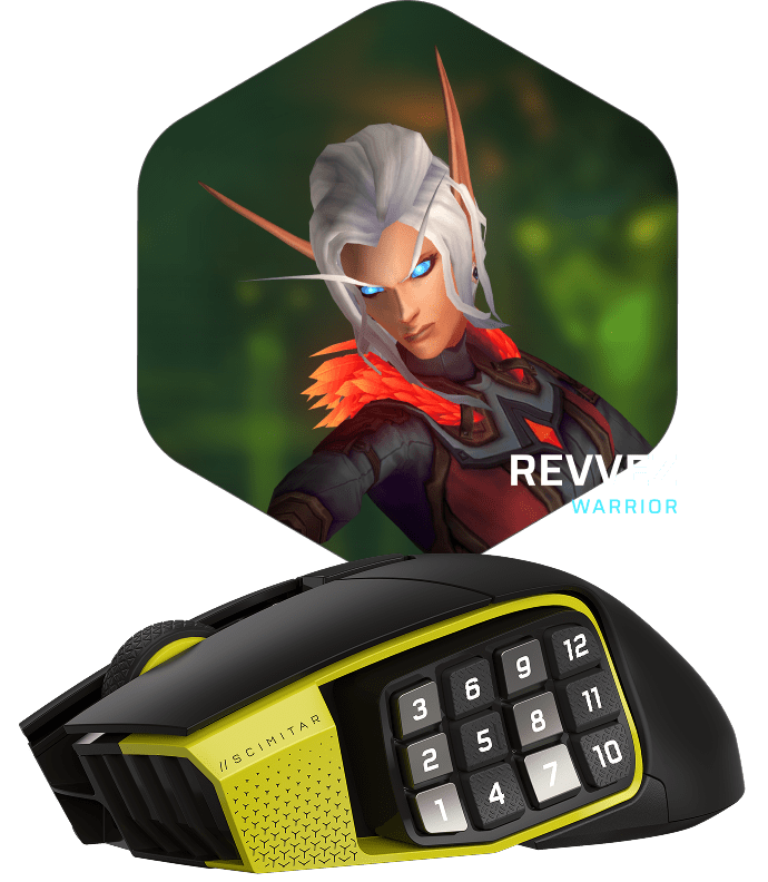 REVVEZ