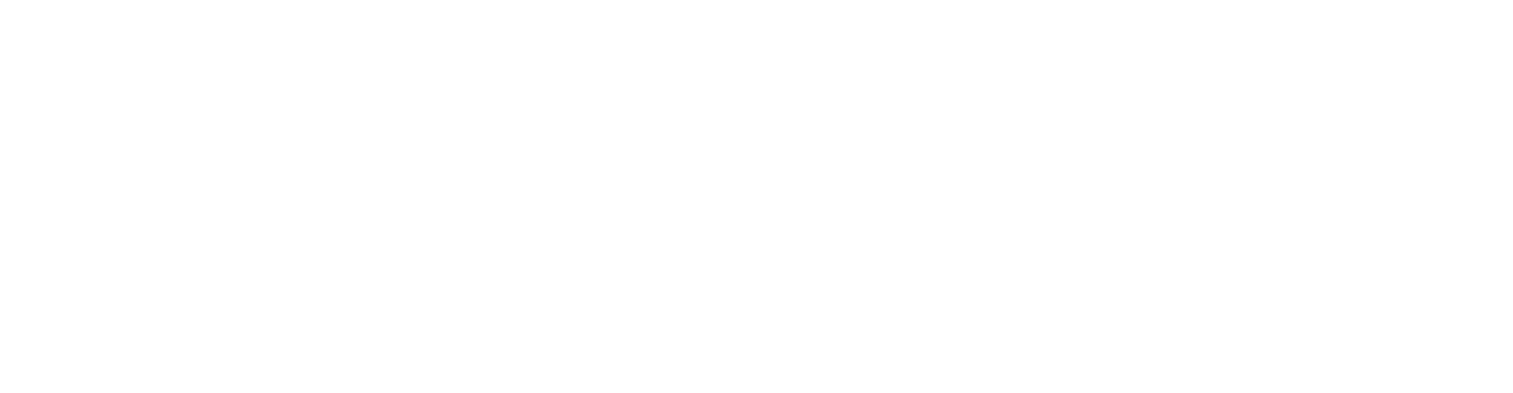 Focus-Entertainment logo