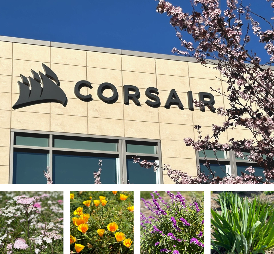 Corsair Campus