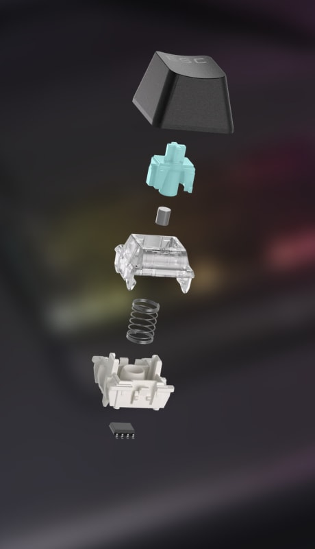SWITCHES