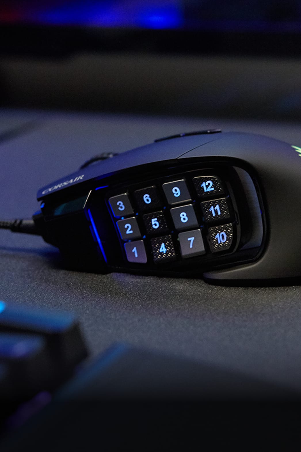 ПОЛЬЗОВАТЕЛЬСКИЕ НАСТРОЙКИ