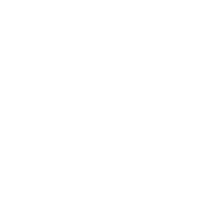 FREE SHIPPING Icon