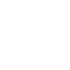 LIFETIME SUPPORT Icon