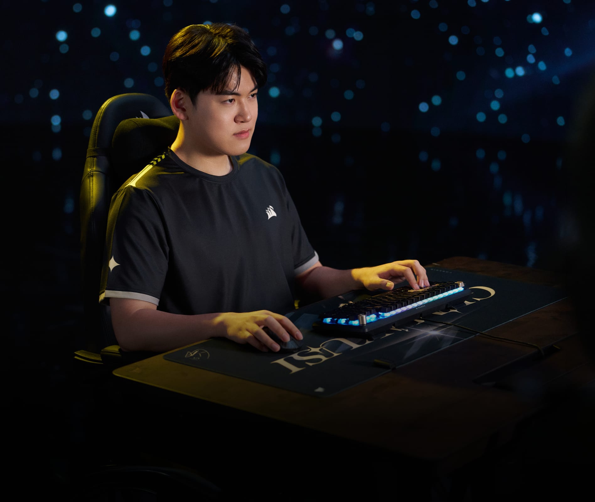 Media | HOMEPAGE | GUMA | TOP BANNER